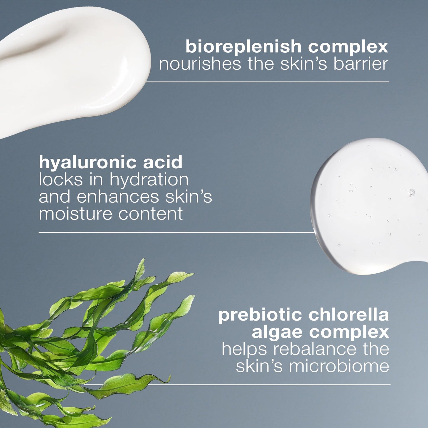 Dermalogica Intensive Moisture Balance Moisturizer for Dry Skin - Natural Skincare with Hyaluronic Acid & Prebiotic Complex