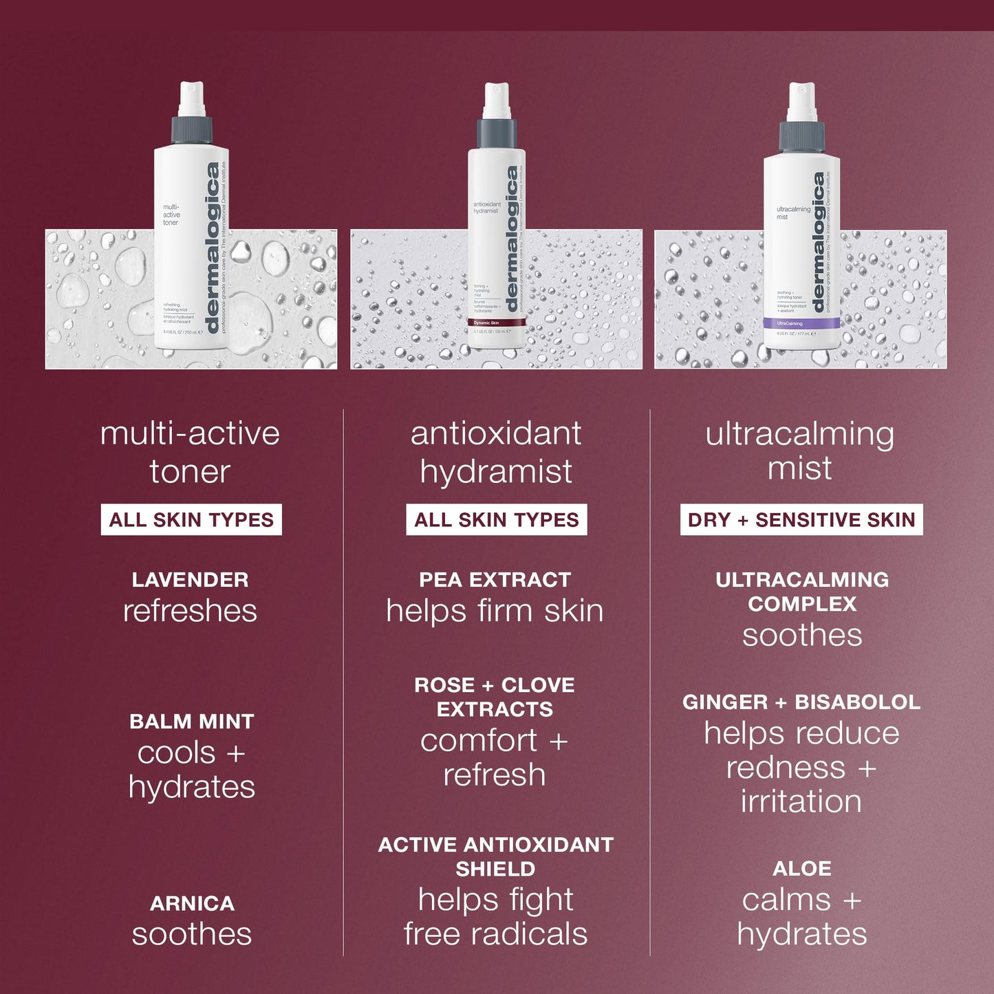 Dermalogica Antioxidant Hydramist 30ml - Hydrating Anti-Aging Mist for Dry Skin