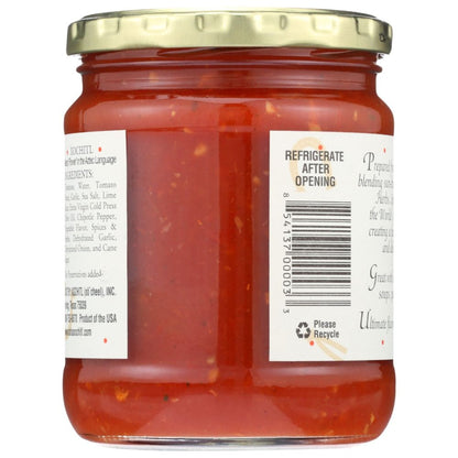 XOCHITL: Chipotle Salsa Medium, 15 oz - SMART GREENS